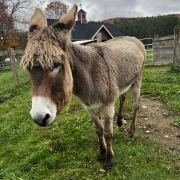 Mount Prospect Academy's Ethel