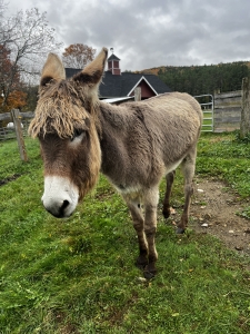 Mount Prospect Academy's Ethel