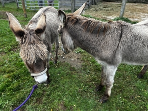 Mount Prospect Academy's Ethel and Fred