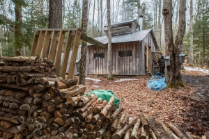 Maple Sugaring at Mount Prospect Academy