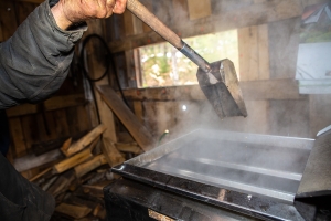 Maple Sugaring at Mount Prospect Academy