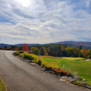 MPA golf tournament at Owl's Nest