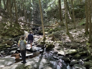MPA Adventure Science students hiking in the woods next to a small creek